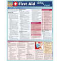 First Aid: Aches & Pains- Laminated 3-Panel Info Guide